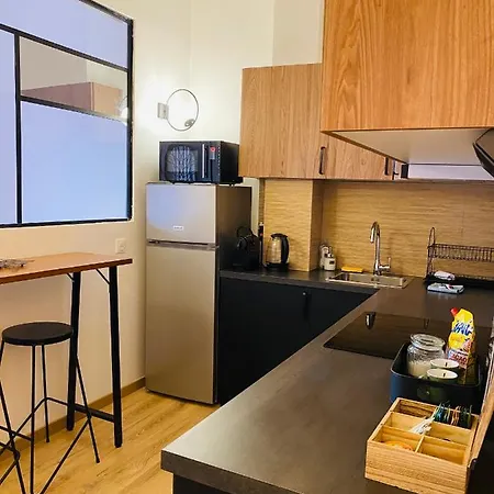 Le Jean Mace, 200m Gare, Clim. Appartement Grenoble